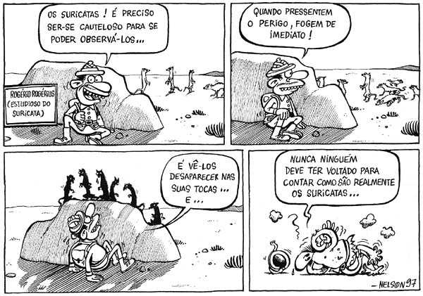 Os Suricatas